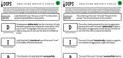 DIPS: Analysing Writer's Choice