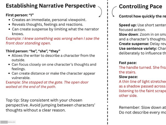 Establishing Narrative Perspective and Controlling Pace