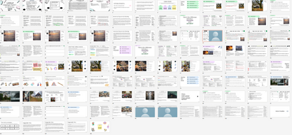 A large grid of many presentation slide thumbnails on a white background, showing layouts with text, images, and small icons. This is not a single physical product photo, and it does not fit measurement chart, color swatch, instruction diagram, scenery, or placeholder.