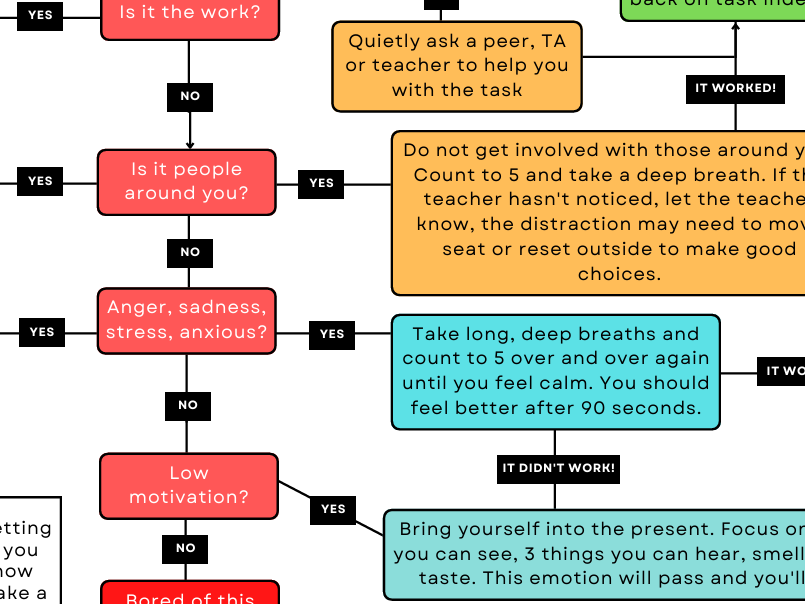Flowchart titled 'Managing My Choices & Behaviour' with decision points and corresponding actions.