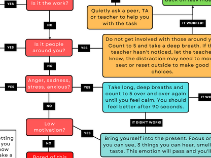 Flowchart titled 'Managing My Choices & Behaviour' with decision points and corresponding actions.