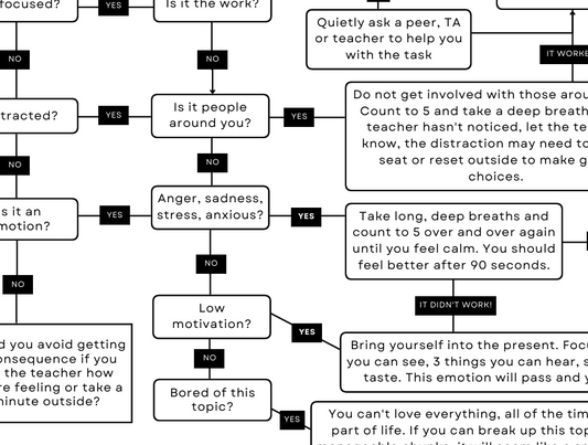 Flowchart titled 'Managing My Choices & Behaviour' with decision points and responses.