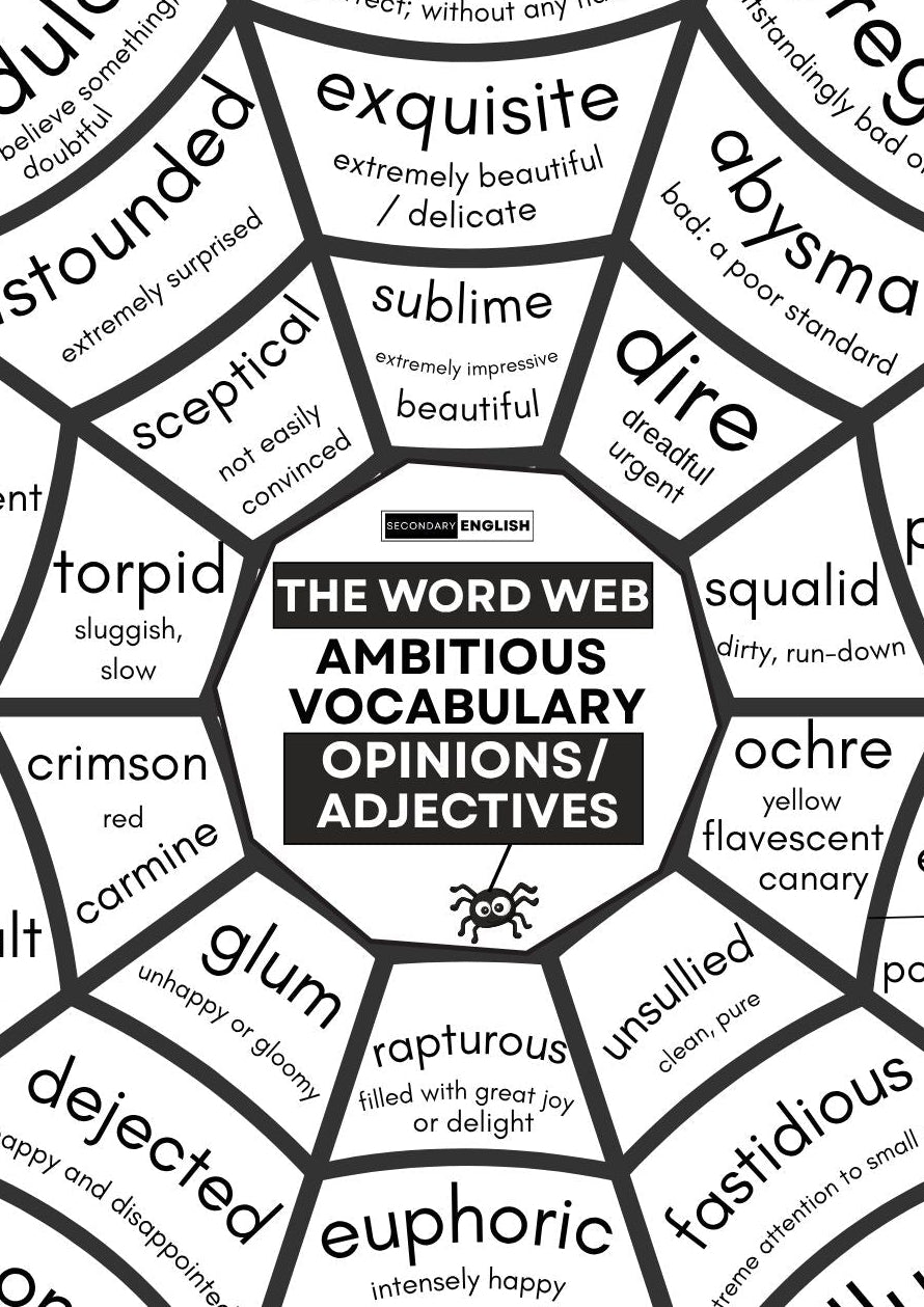 ADJECTIVES/OPINIONS: Word Webs - Building Ambitious Vocabulary