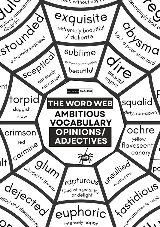 ADJECTIVES/OPINIONS: Word Webs - Building Ambitious Vocabulary