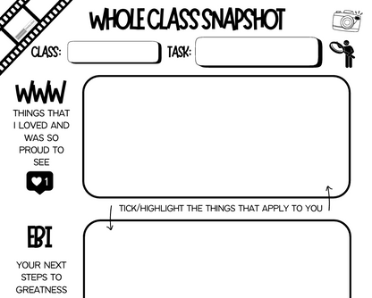 Whole Class Feedback Snapshot Resource